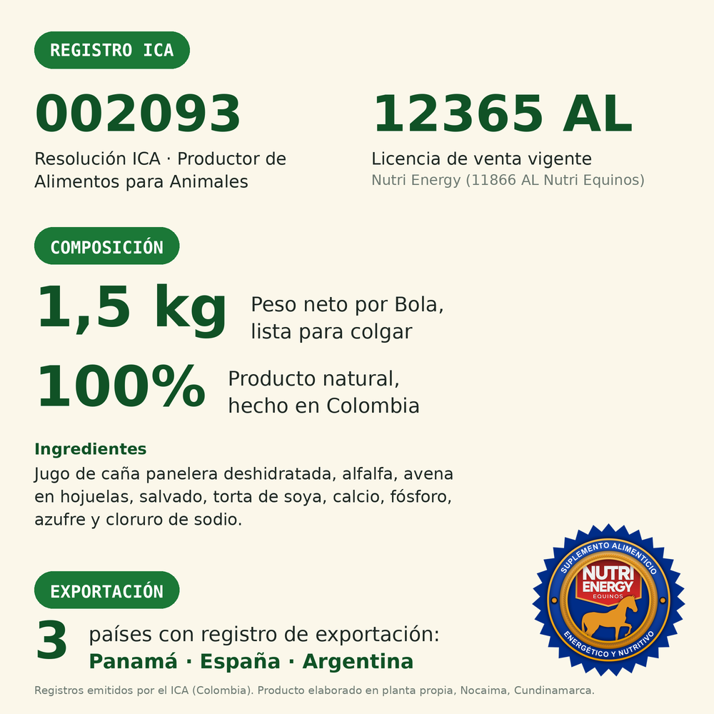 Bola Nutri Energy