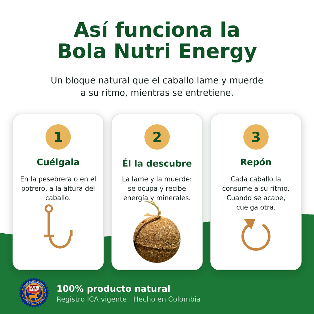 Bola Nutri Energy