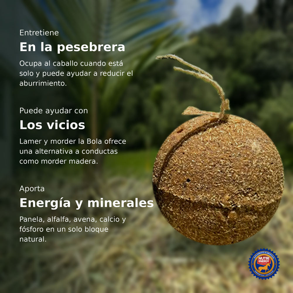 Bola Nutri Energy