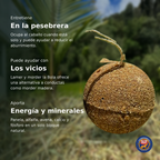 Bola Nutri Energy